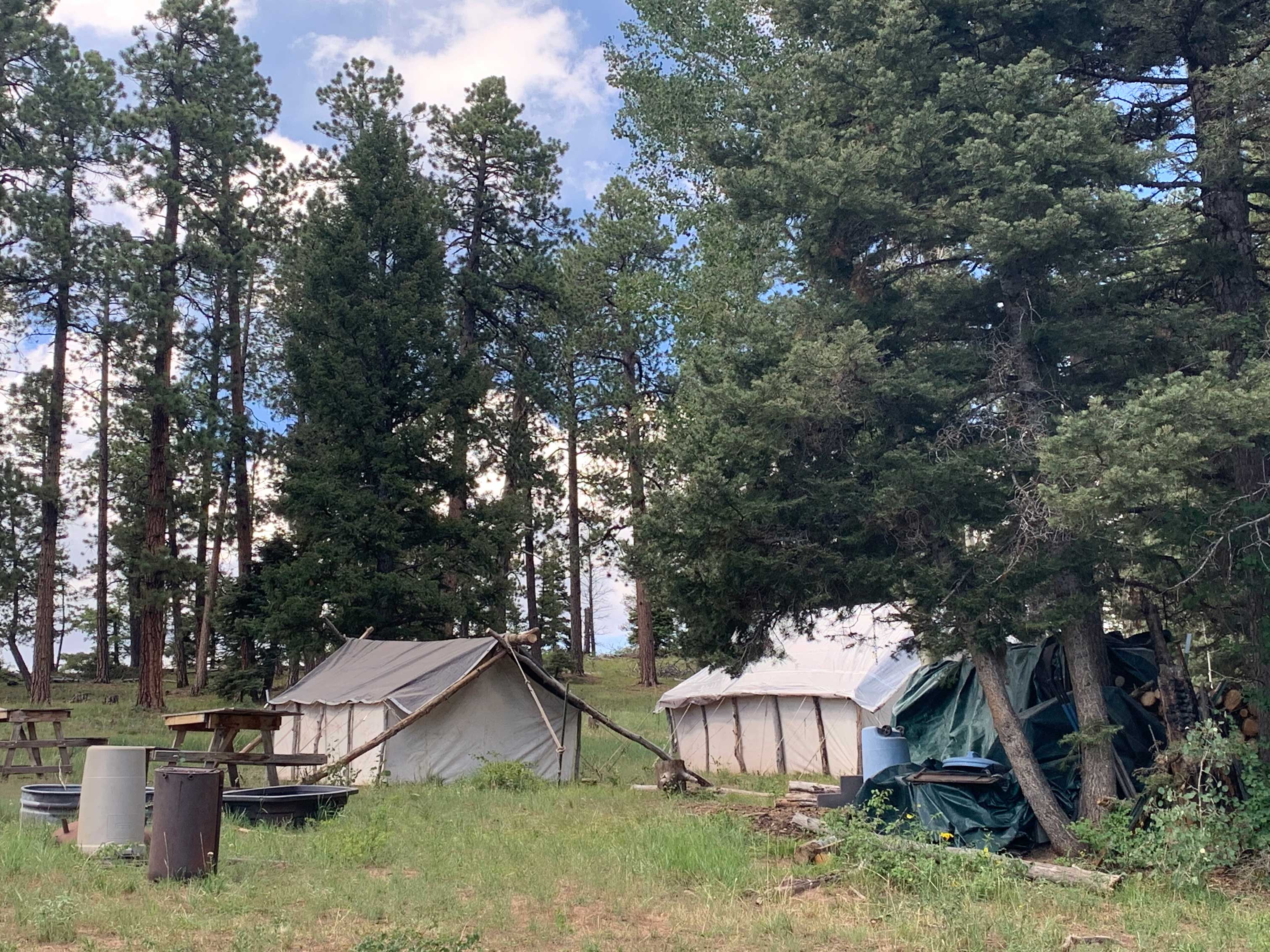 Summer Camping in Colorado